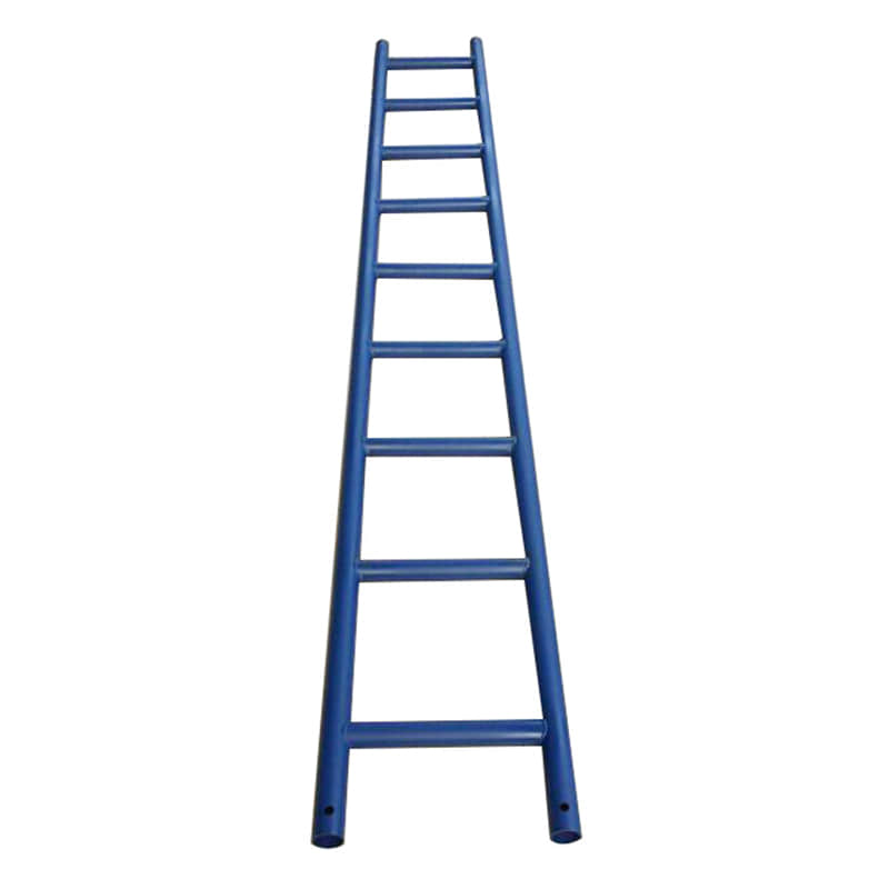 Scaffolding vertical ladder